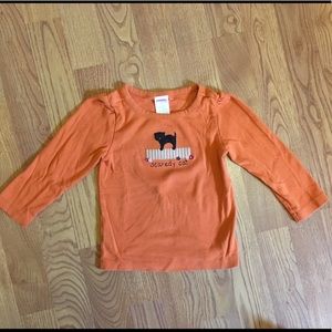Toddler girls Gymboree Scaredy Cat top